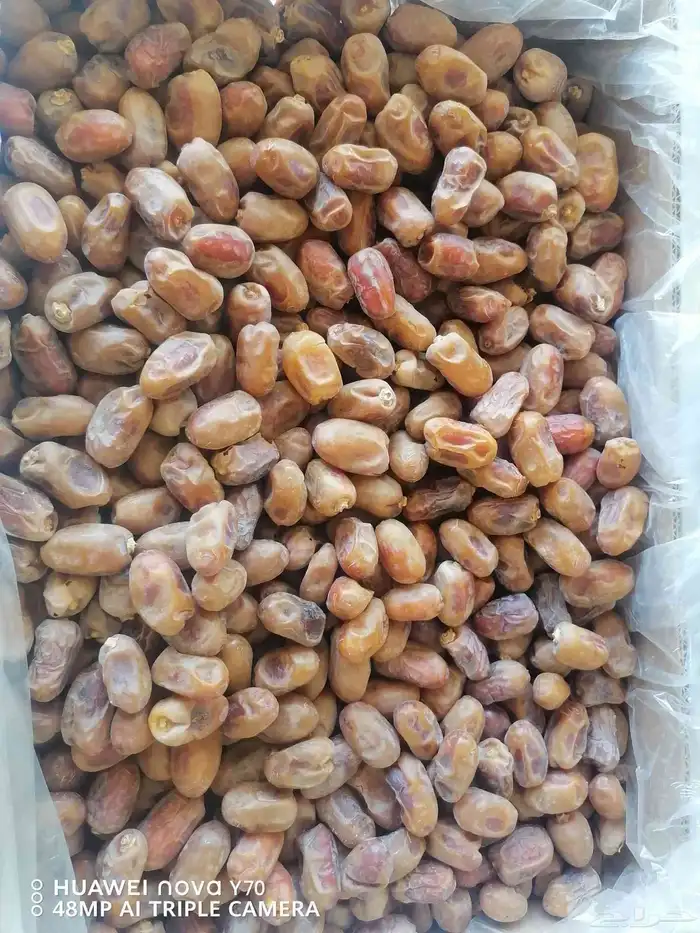 سته طن خلاص حبه وسط للبيع 4