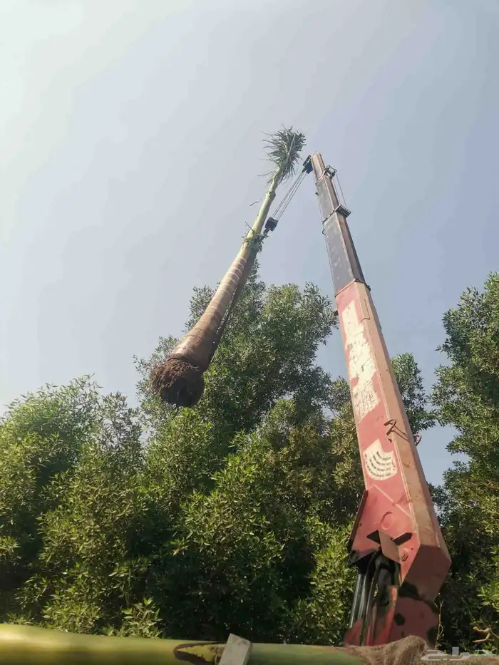 إيجار وانش كرين رافعا رقم جوال جدة 3