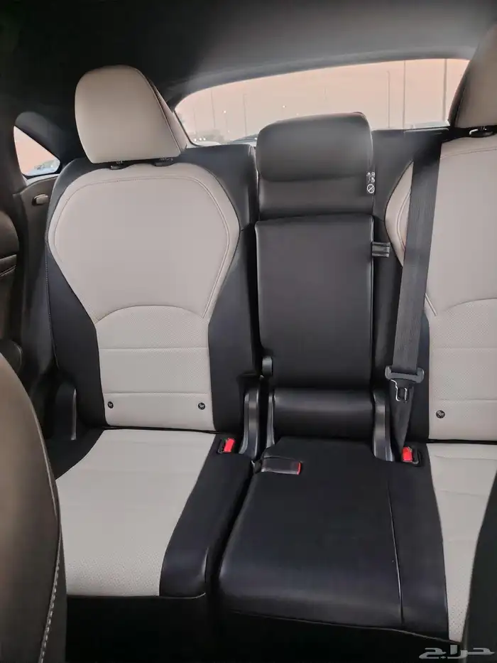 انفنتي QX55 2022 11