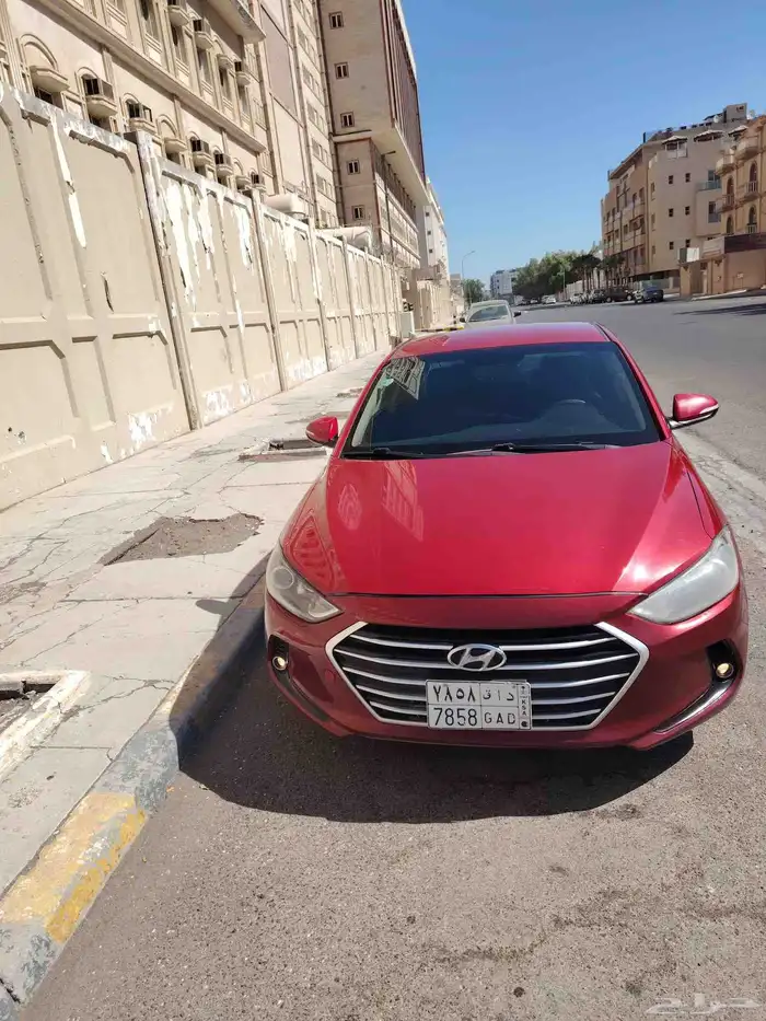 النترا 2017 19