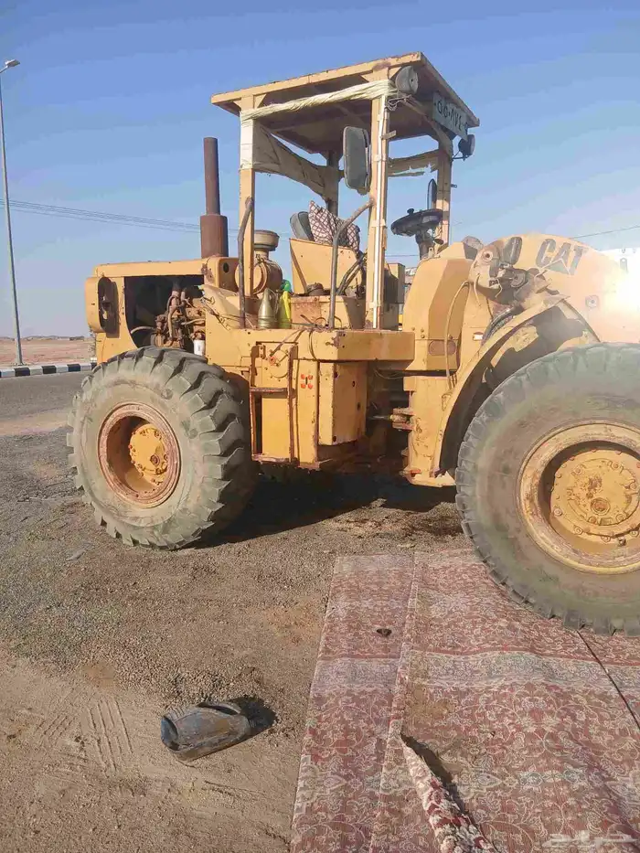 شيول 50 للاجار معاء السواق 1