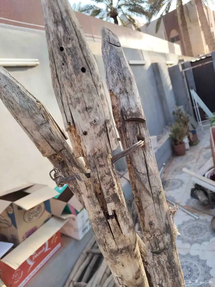 أدوات زراعية قديمة تراث 5