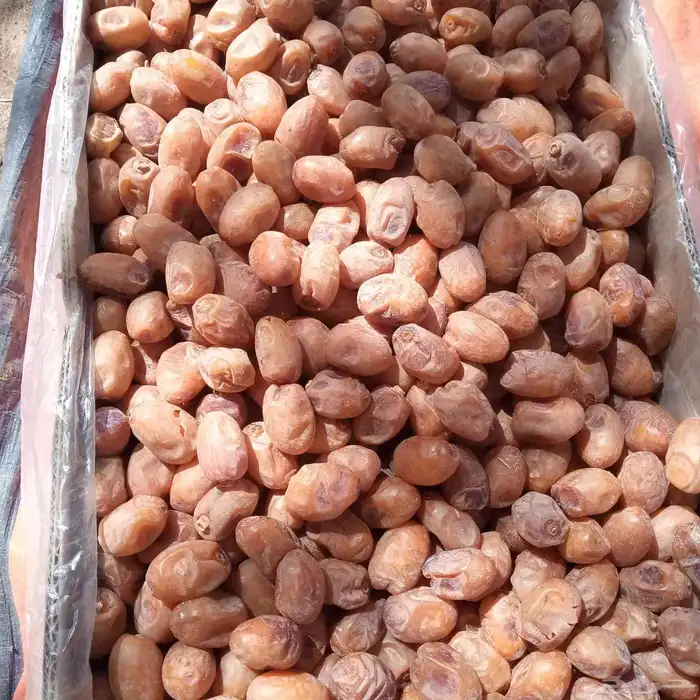 20طن خلاص ساجر 2