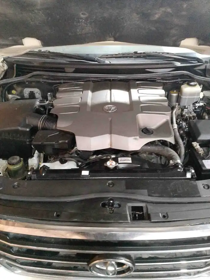 مكينه جكسار سكويا 0