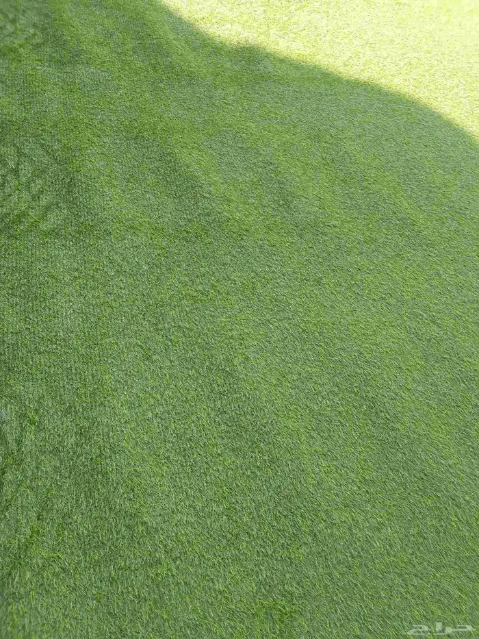 ثيل صناعي انجيلا صناعي 3