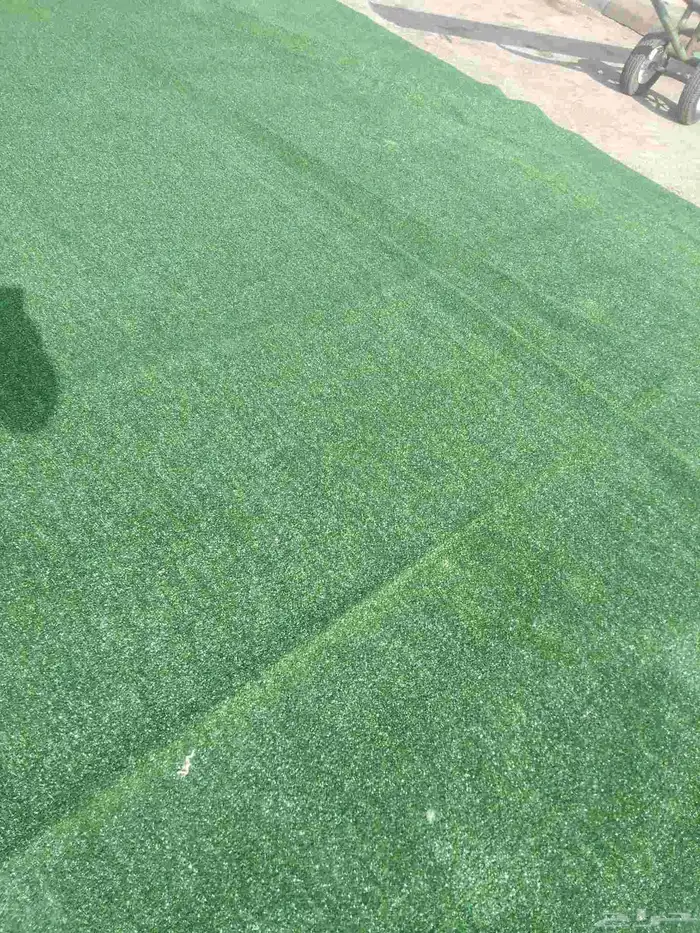 ثيل صناعي انجيلا صناعي 8