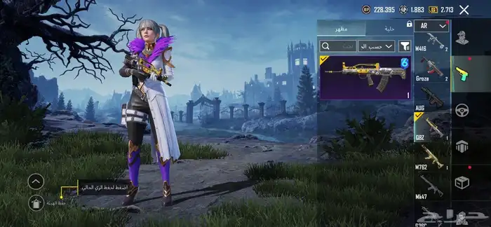 حساب ببجي للبيع 19