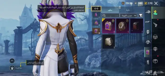 حساب ببجي للبيع 13