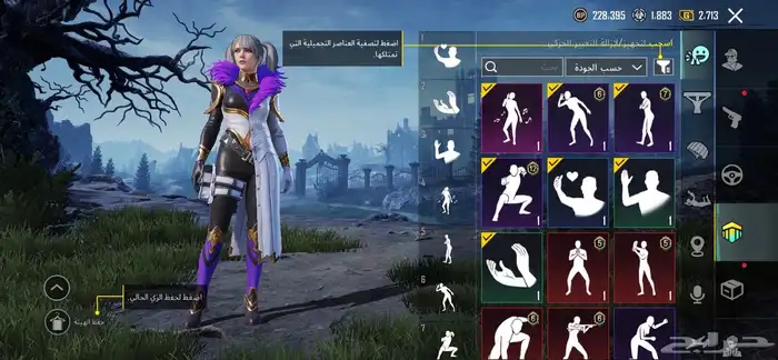 حساب ببجي للبيع 35