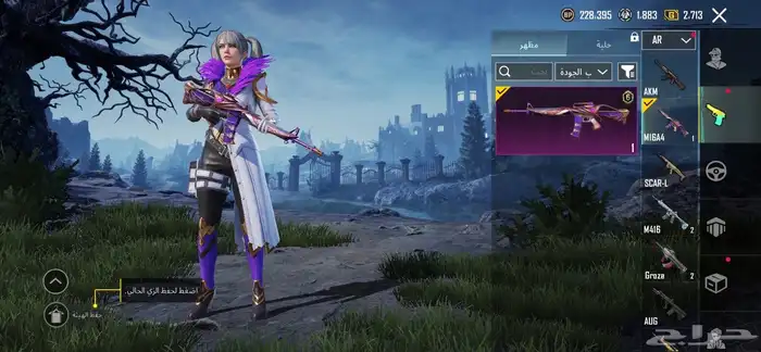 حساب ببجي للبيع 16