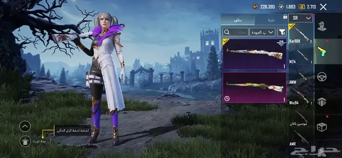 حساب ببجي للبيع 23