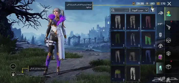 حساب ببجي للبيع 17