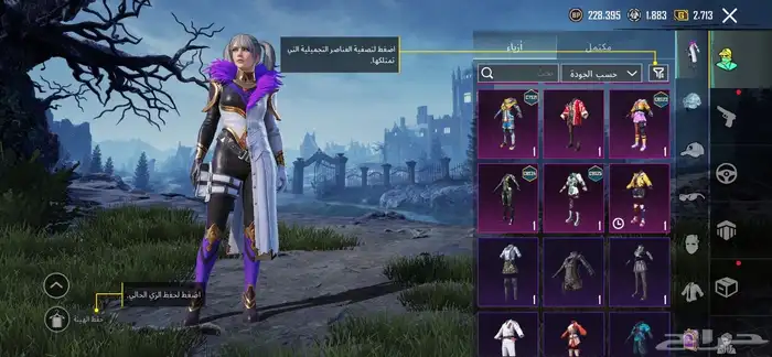 حساب ببجي للبيع 3