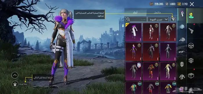 حساب ببجي للبيع 2