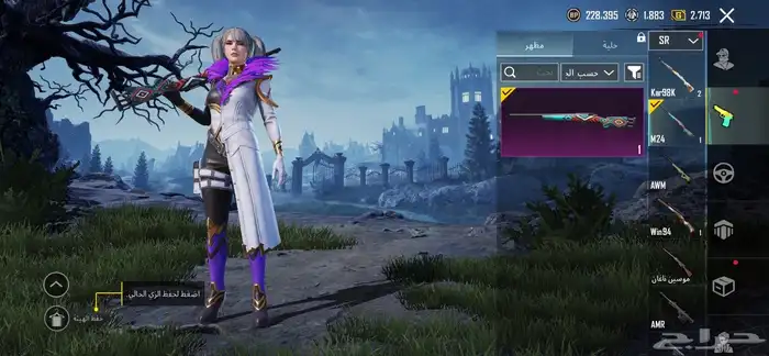 حساب ببجي للبيع 22