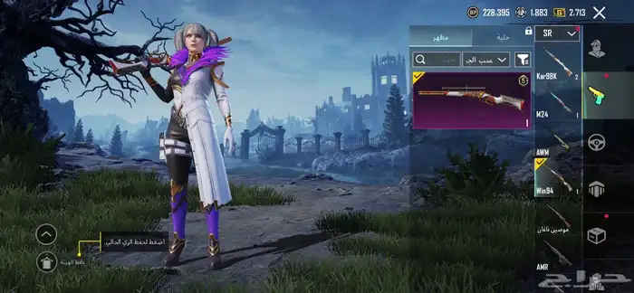 حساب ببجي للبيع 27