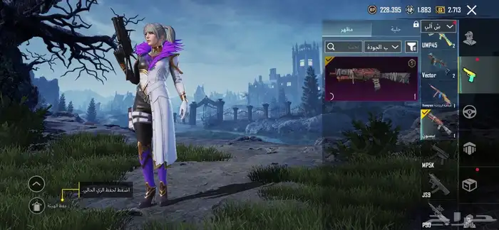 حساب ببجي للبيع 29