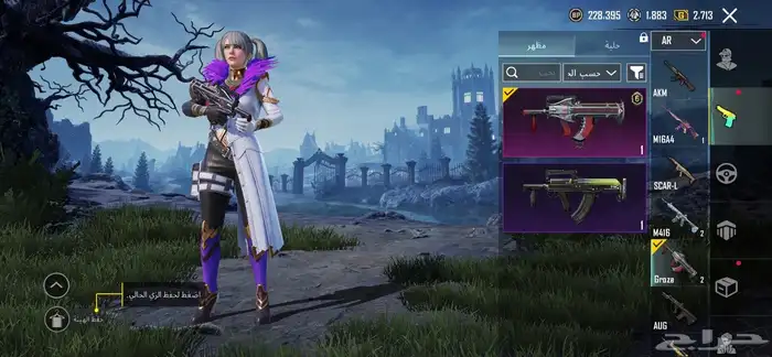 حساب ببجي للبيع 20