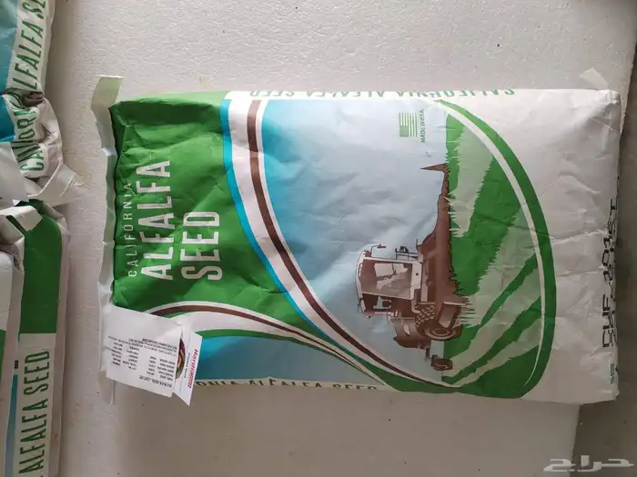 بذور برسيم أمريكي كاف 101 مغلف 0