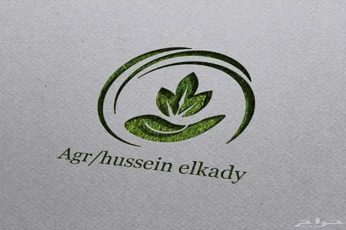 تصميم لوجو احترافي 4