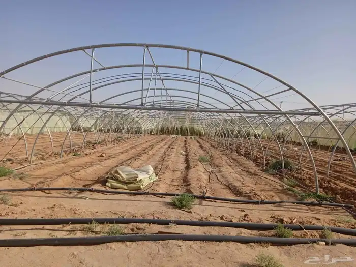 بيوت محميه 6