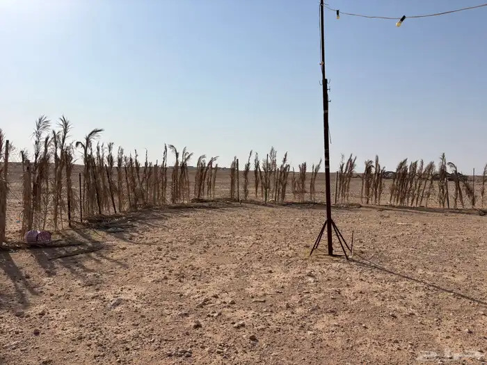 خيام شعر لبيع 1