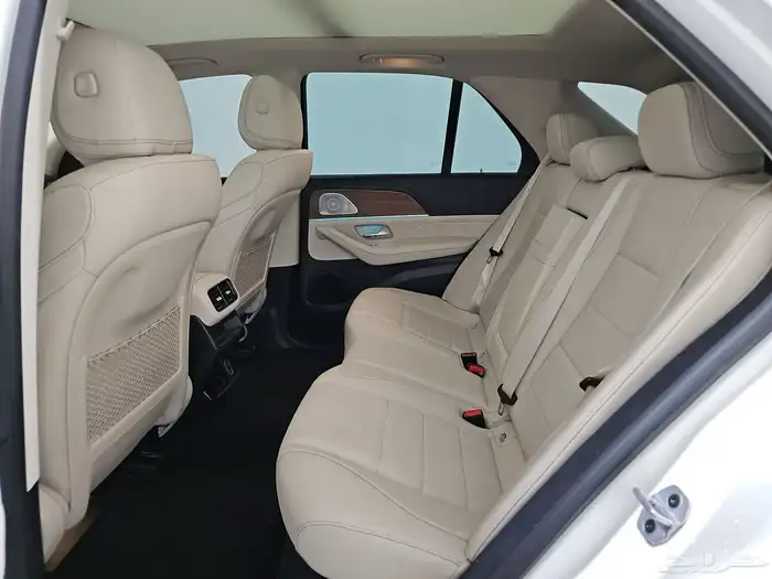 2021 مرسيدس GLE450 10