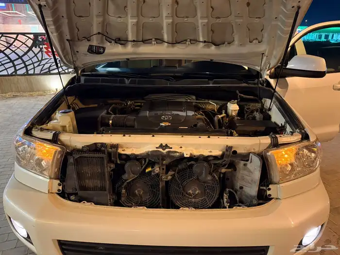 سيكويا مالك اول من الوكالة 6