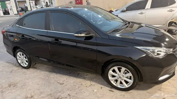 شانجان السفن 2024 2