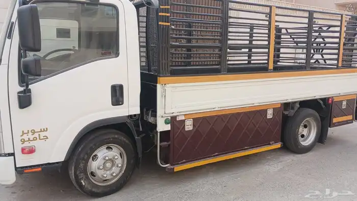 دينا ايسوزو موديل 2021 1