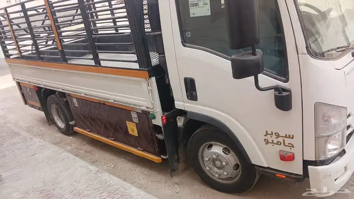 دينا ايسوزو موديل 2021 2