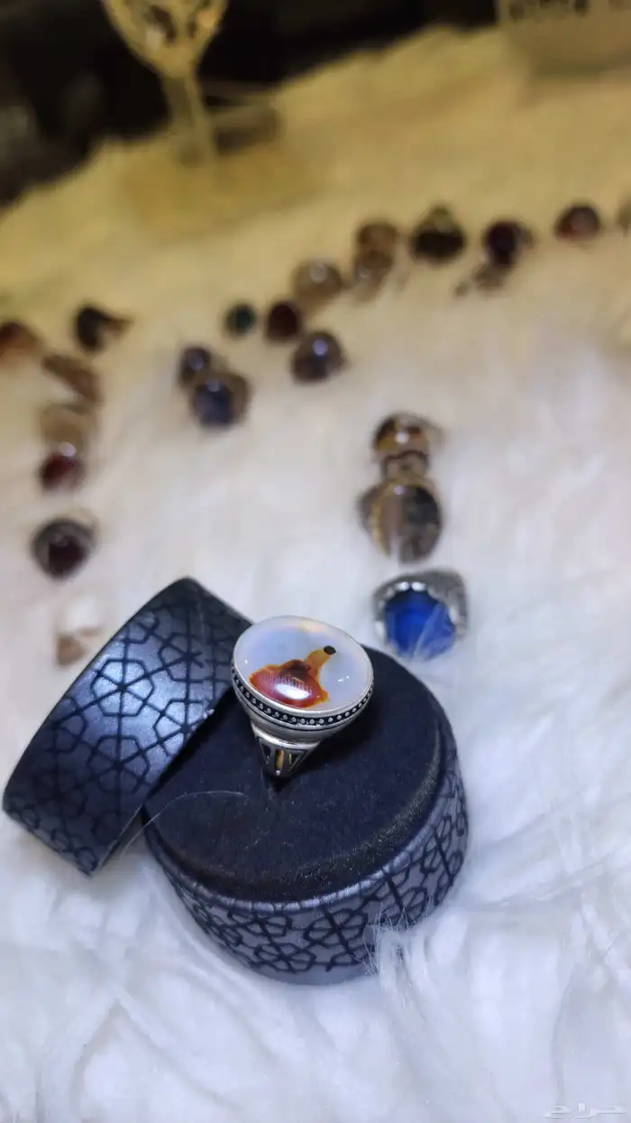 خواتم فضه رجاليه واسعار مغريه 6