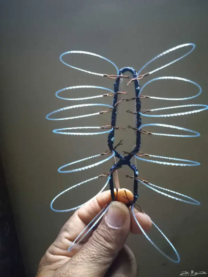 شبك لطرح الصقور 3