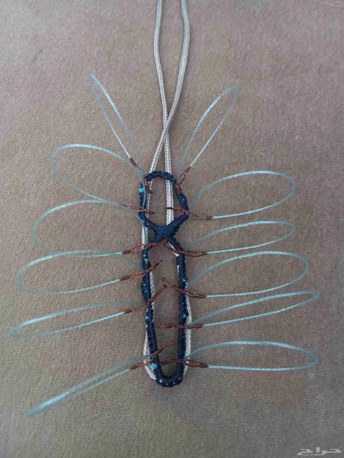 شبك لطرح الصقور 5