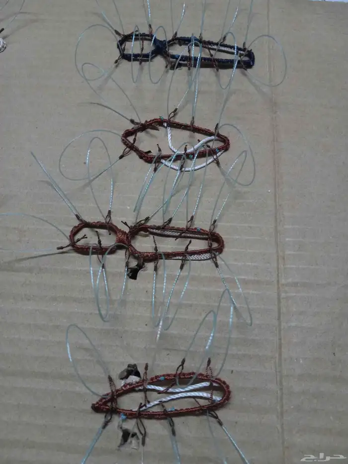 شبك لطرح الصقور 2