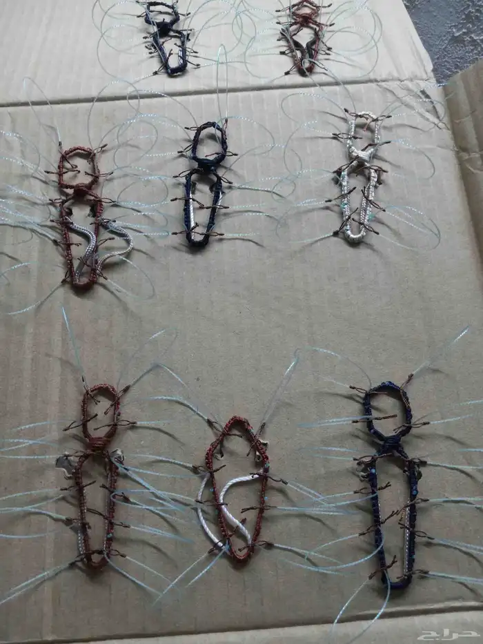 شبك لطرح الصقور 1