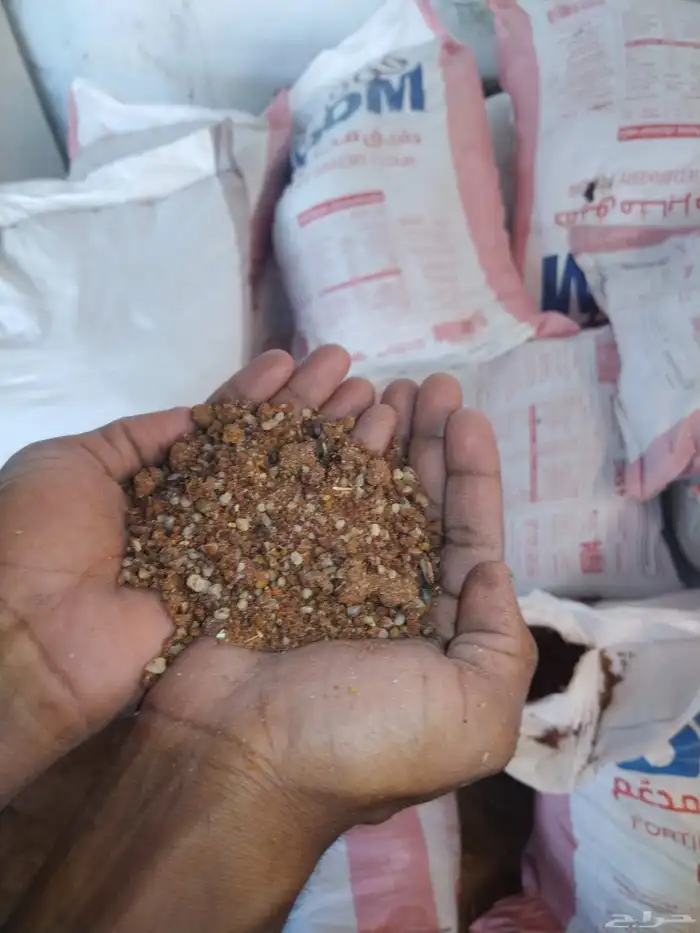 نواة التمر مطحون 4