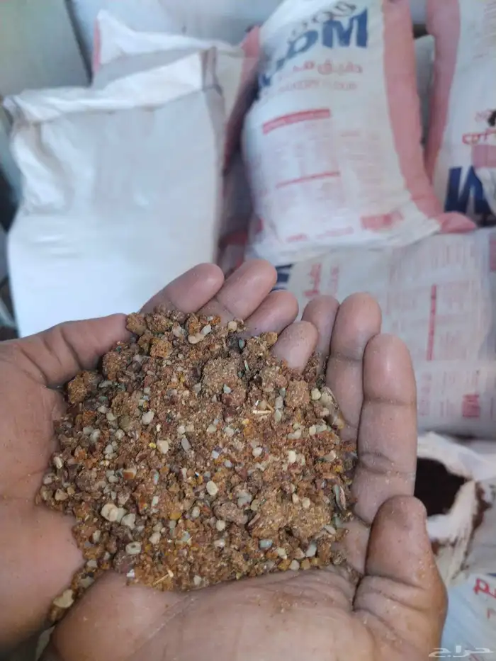 نواة التمر مطحون 2