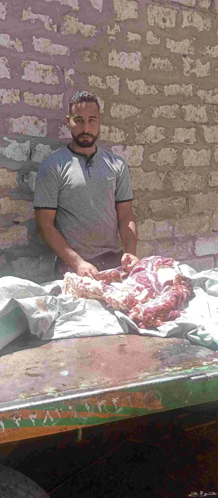 انا جزار وبحس عن فرصة عمل 0