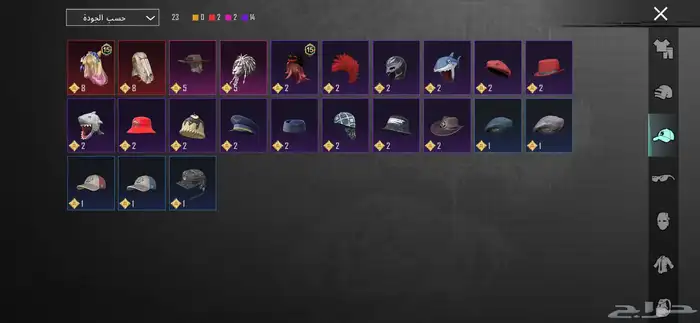 للبيع حساب ببجي 24