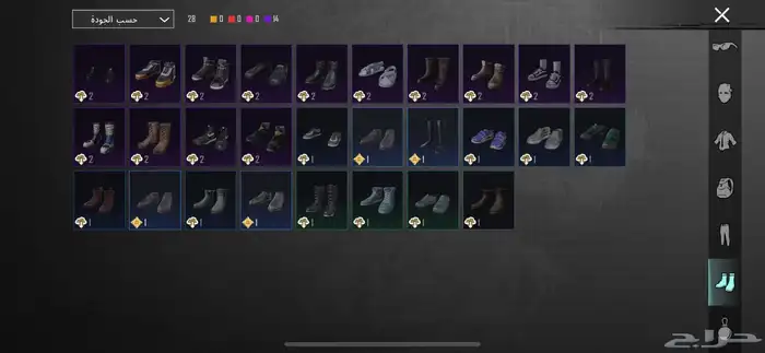 حساب ببجي 13