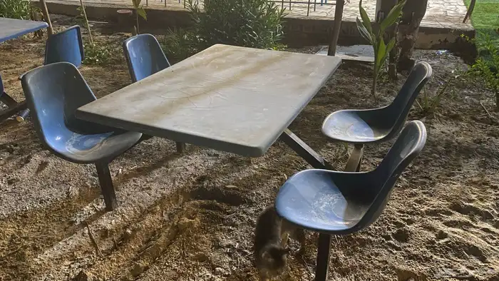 طاولات وكراسي للتقديم 1