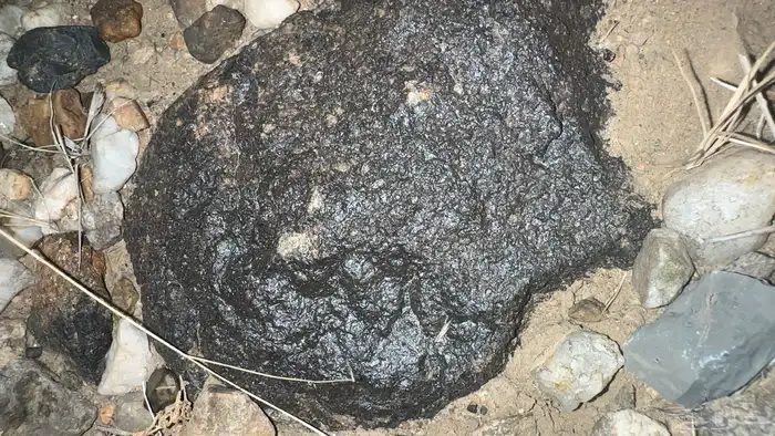 خبراء النيازك.. أفيدونا 0