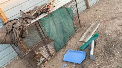 عشة حمام ودبة للمخيم او الحلال index