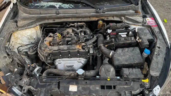 شنجان ايدو مصدوم 0