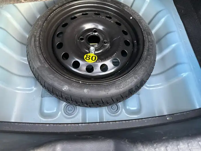 شانجان السفن 2023 فئة الفل كامل 5