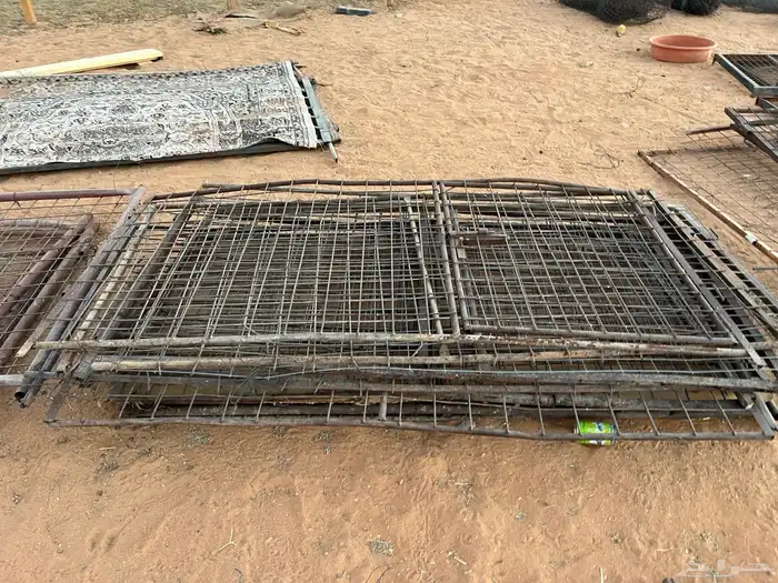 شبوك غنم ومستلزماتها 11