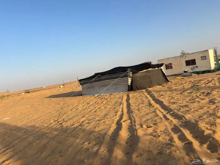 قطبه للبيع 1