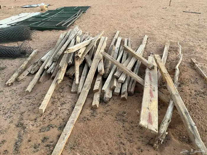 شبوك غنم ومستلزماتها 19