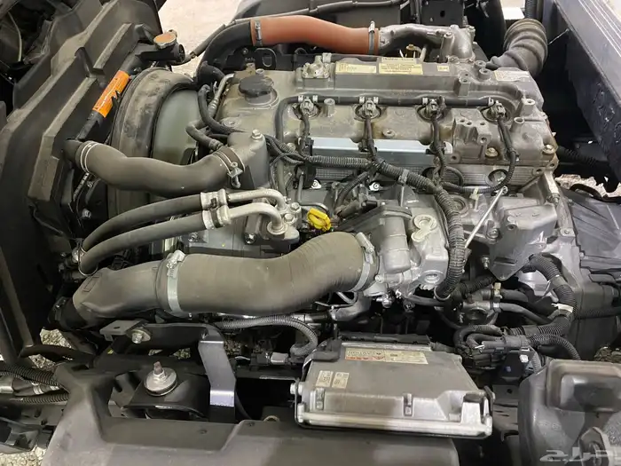 دينا ايسوزو سطحه شاص طويل 2017 7